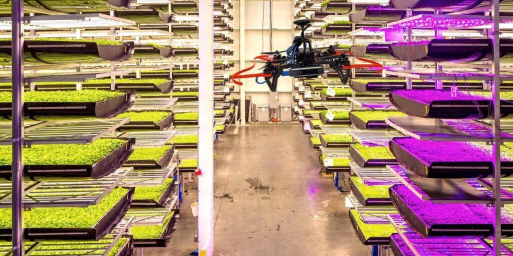 trays of greenery sitting in rows from top of the floor to the ceiling with a drone in the middle of a corridor