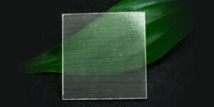 Media Transparent Wood 1600x600 1 760x380.jpg