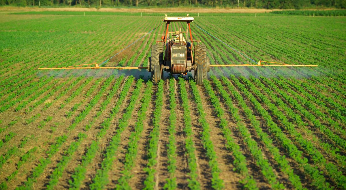 Are rainforests doomed? New report reveals glimmers of hope for this iconic ecosystem 4 GettyImages 94827225