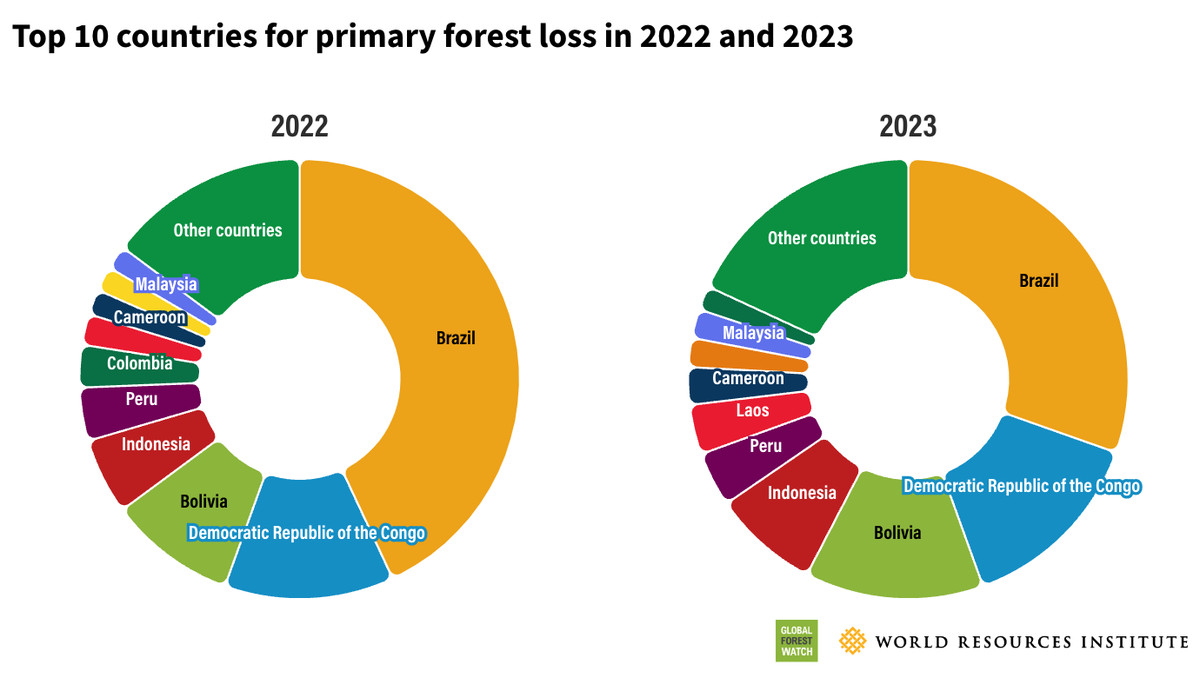 Are rainforests doomed? New report reveals glimmers of hope for this iconic ecosystem 2 Top 10 comparison 2023 TCL EMBARGOED FOR APRIL 4 2024 1