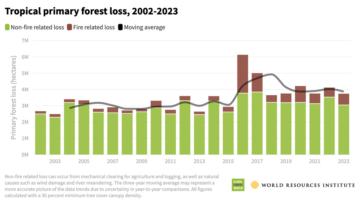 Are rainforests doomed? New report reveals glimmers of hope for this iconic ecosystem 1 Tropical primary forest loss 2023 TCL EMBARGOED FOR APRIL 4 2024 1